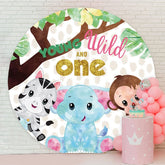 Aperturee - Elephant And Animals Round 1st Birthday Backdrop